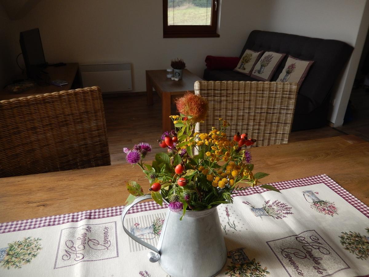 Horske Apartmany Bily Vlk Vaclavov u Bruntalu Dış mekan fotoğraf